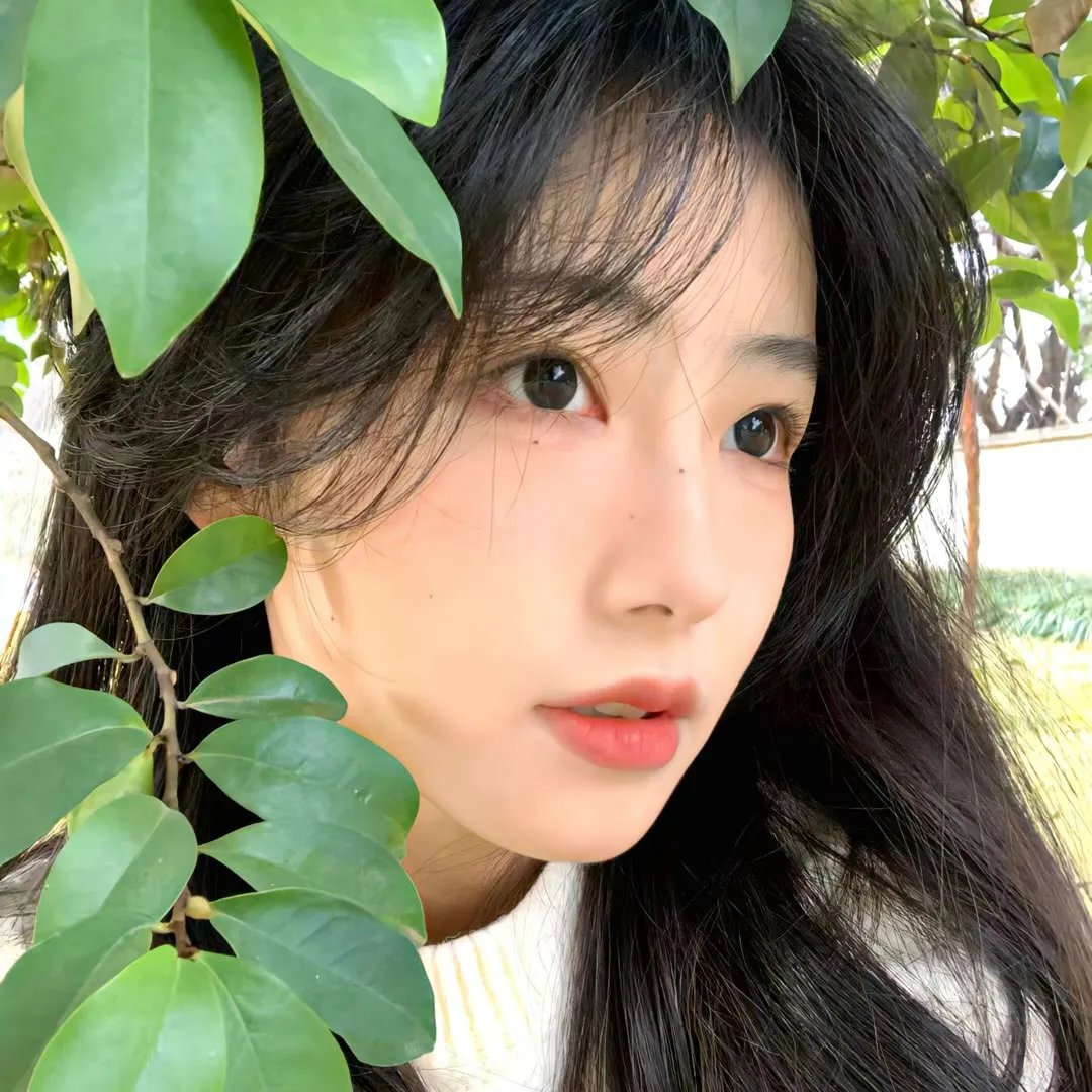 锦衣之下之绣春刀